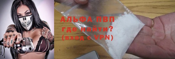 spice Беломорск