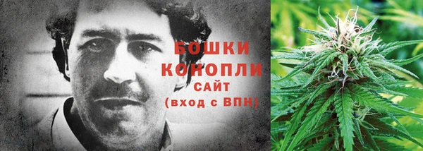 spice Беломорск