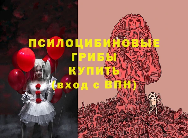 ALPHA PVP Белокуриха