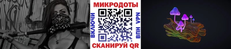 маркетплейс формула блэк спрут tor Буинск Псилоцибиновые грибы Psilocybe